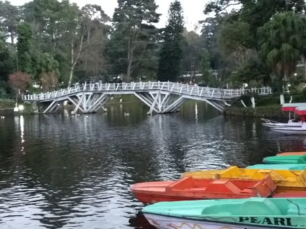 Ward Lake at Shillong