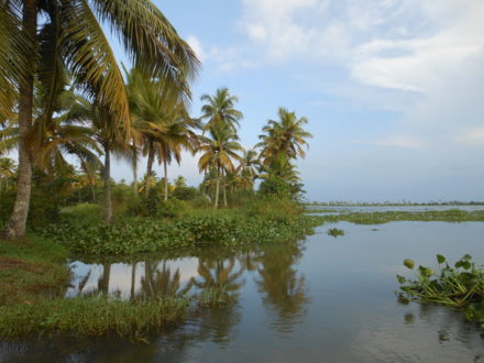 Alleppey Backwater