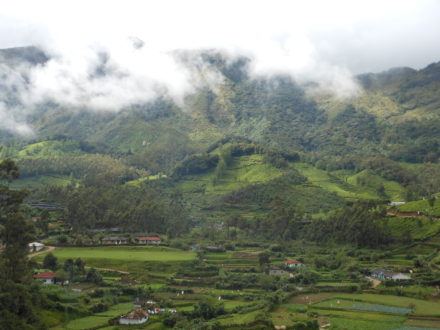 Mesmerizing Munnar